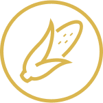 logo_maiz